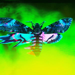 {`${release.releasename}`}