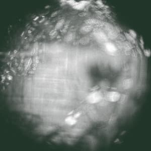 {`${release.releasename}`}
