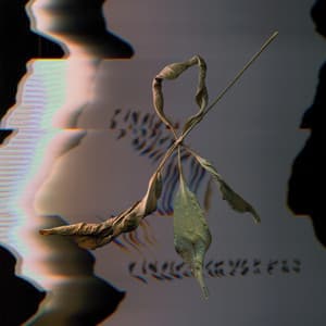 {`${release.releasename}`}