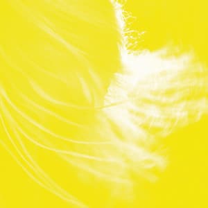 {`${release.releasename}`}