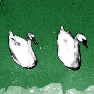 {`${release.releasename}`}