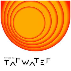 {`${release.releasename}`}